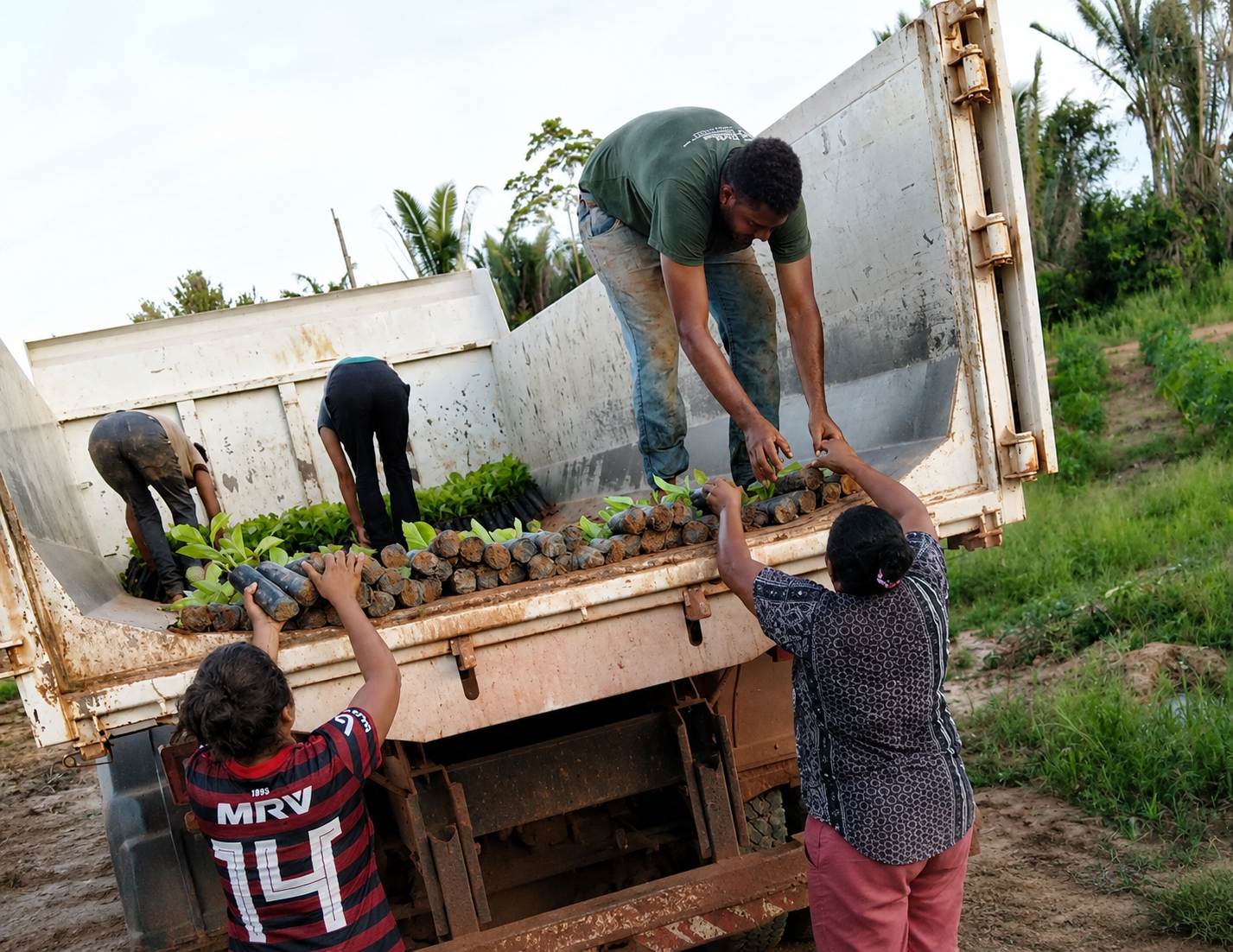 Os caminhões realizam o escoamento de alimentos, insumos e mudas agrícolas